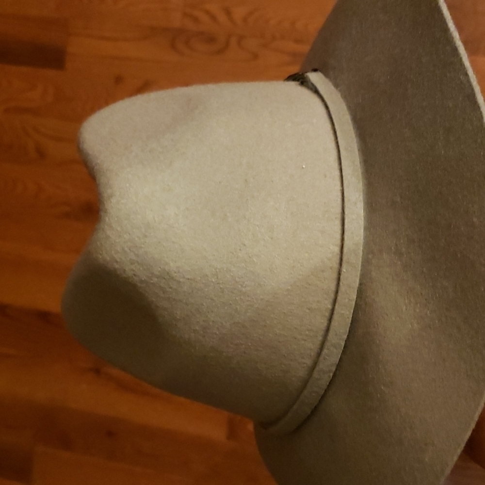 Gray Wool Hat - image 4